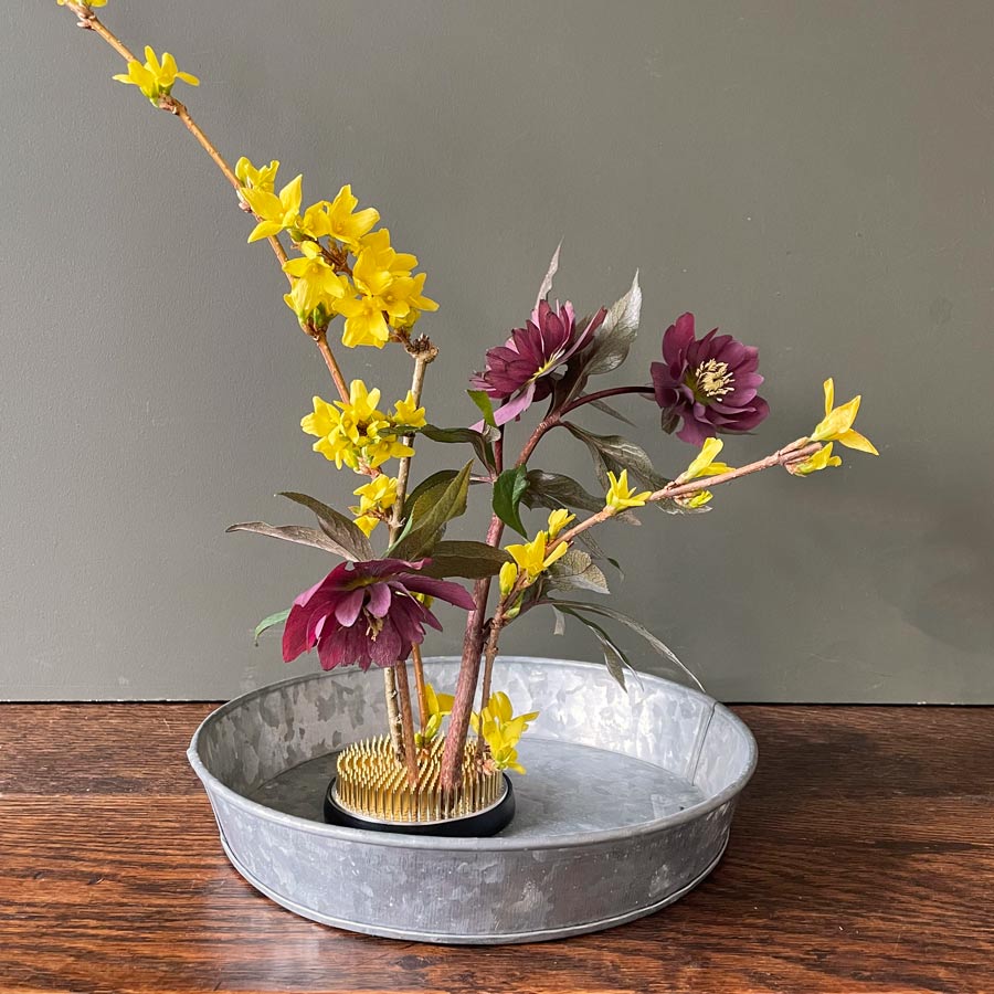 Flower Frog with Hellebore and Forsythia, in a tin dish.