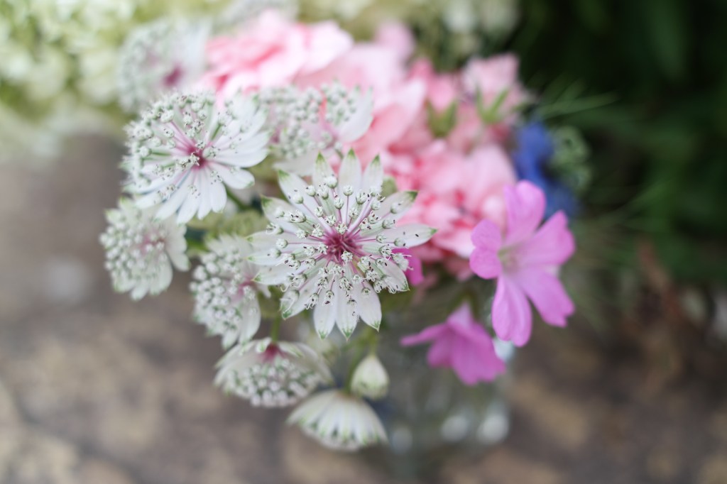 White astrantia in a posy